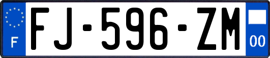 FJ-596-ZM