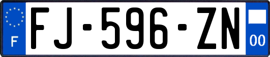 FJ-596-ZN