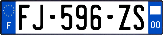 FJ-596-ZS