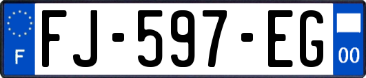 FJ-597-EG