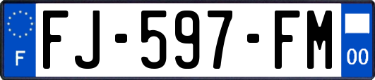 FJ-597-FM