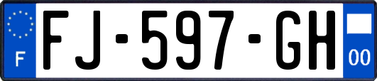 FJ-597-GH