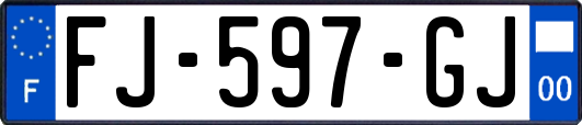 FJ-597-GJ