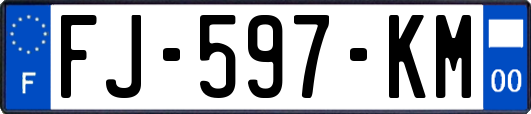 FJ-597-KM