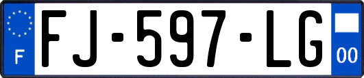 FJ-597-LG
