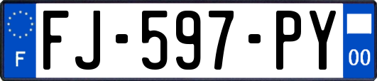 FJ-597-PY