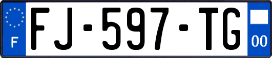 FJ-597-TG