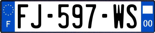 FJ-597-WS