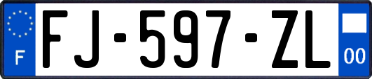 FJ-597-ZL