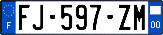 FJ-597-ZM