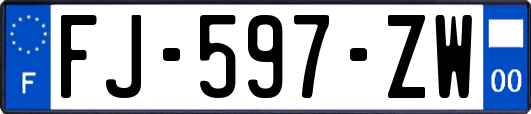 FJ-597-ZW