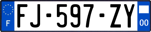 FJ-597-ZY