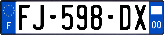 FJ-598-DX