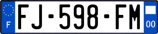 FJ-598-FM