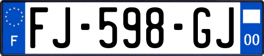 FJ-598-GJ