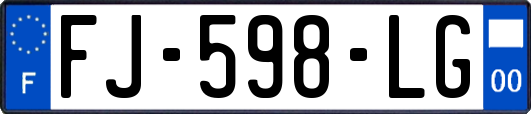 FJ-598-LG