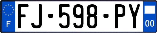 FJ-598-PY