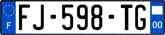 FJ-598-TG