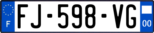 FJ-598-VG