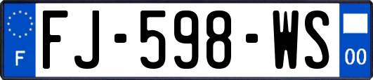 FJ-598-WS