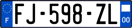 FJ-598-ZL