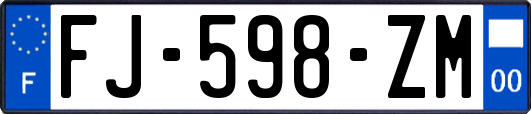 FJ-598-ZM