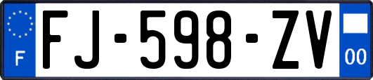 FJ-598-ZV