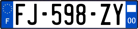 FJ-598-ZY