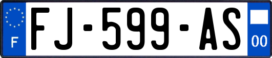 FJ-599-AS