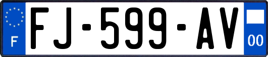 FJ-599-AV