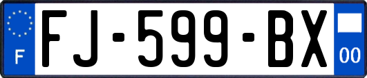 FJ-599-BX