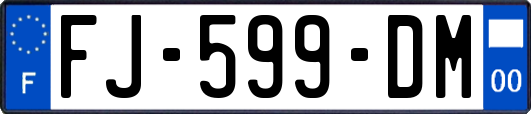 FJ-599-DM