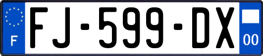 FJ-599-DX