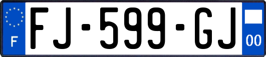 FJ-599-GJ