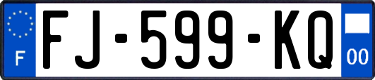 FJ-599-KQ