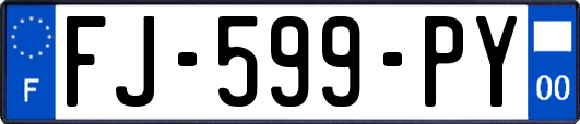 FJ-599-PY