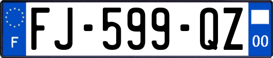 FJ-599-QZ