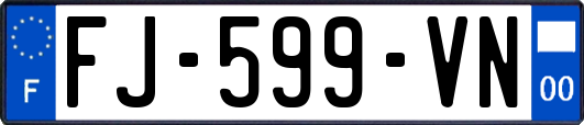 FJ-599-VN