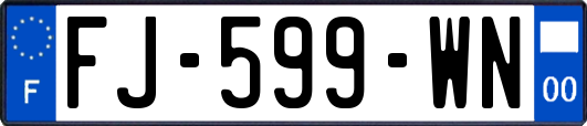 FJ-599-WN