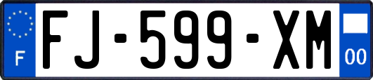 FJ-599-XM