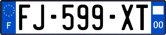 FJ-599-XT