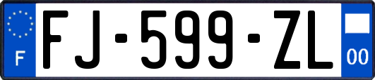 FJ-599-ZL