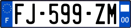 FJ-599-ZM