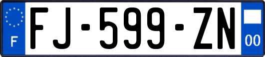 FJ-599-ZN