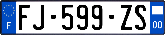 FJ-599-ZS