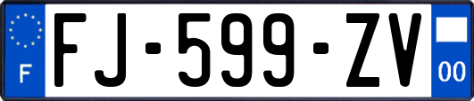 FJ-599-ZV