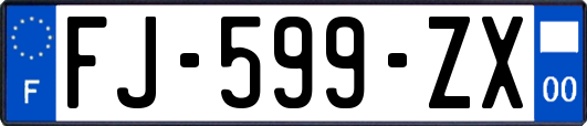 FJ-599-ZX