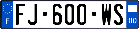 FJ-600-WS