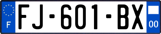 FJ-601-BX