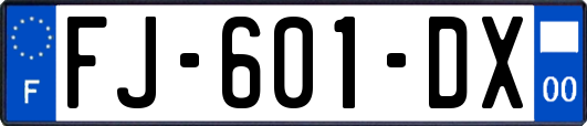 FJ-601-DX
